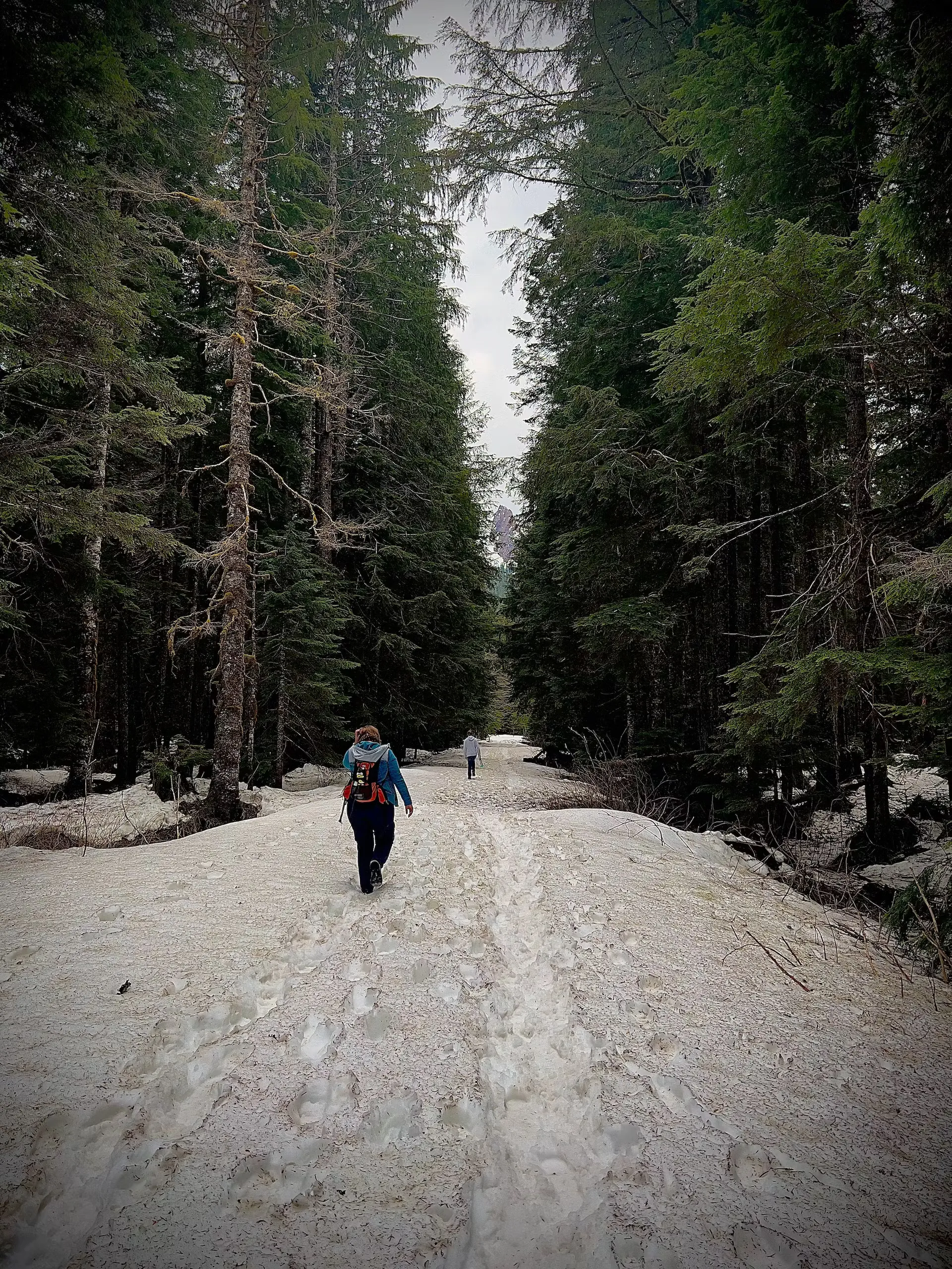 Walking on a snow path on the Old Monte Cristo road