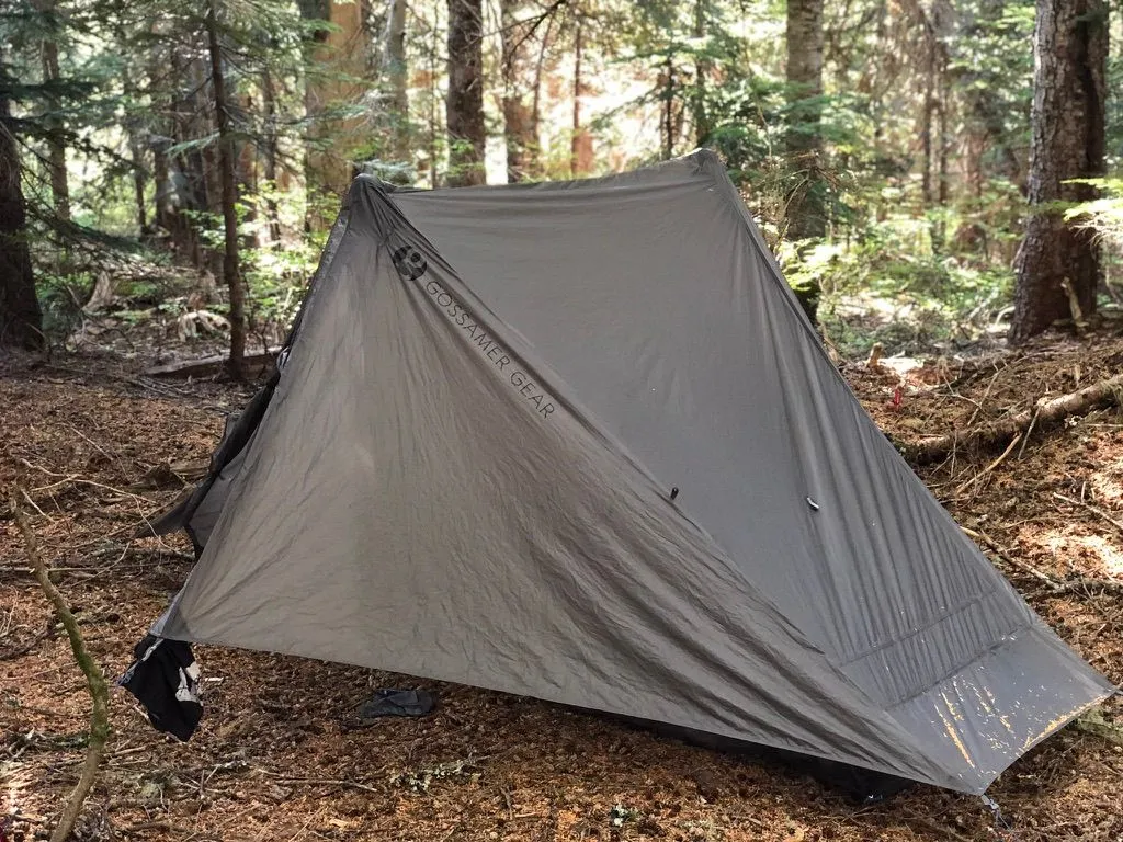 Camping in a forest