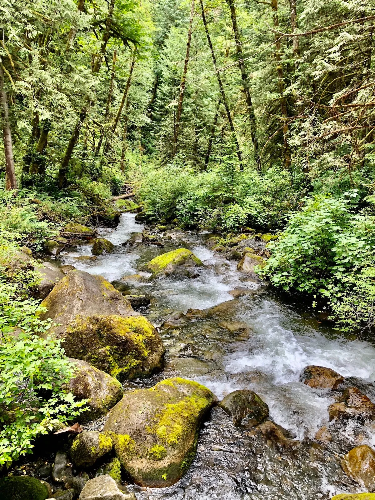 North Fork of Wallace River